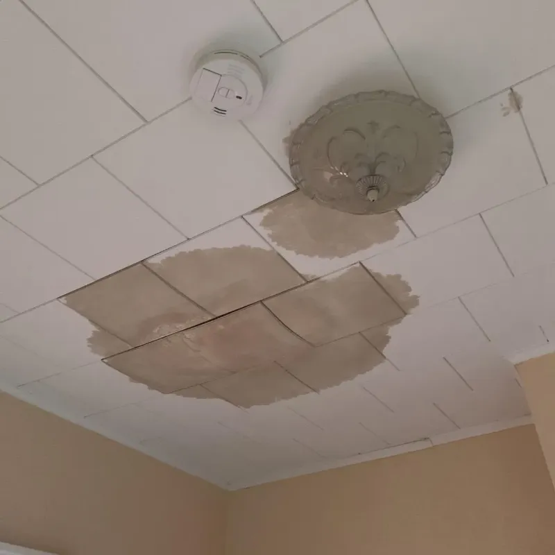Ceiling Water Damage Repair in Rennerdale, PA